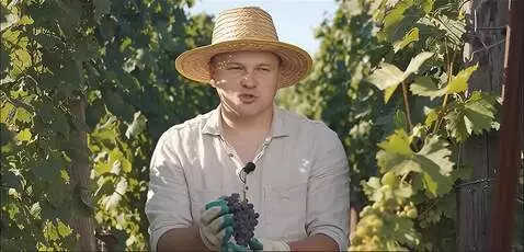 AI Video from prompt: говорит (соцветия бывают мужской цветок, обеполы