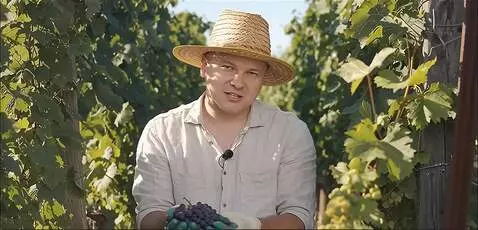 AI Video from prompt: говорит (и в заключении я повтрарюсь обработку в