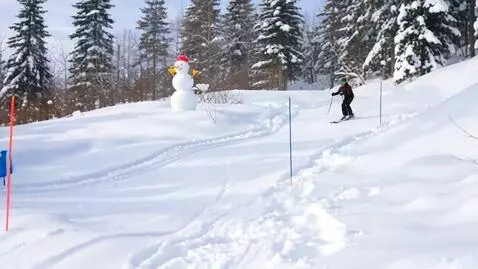 AI Video from prompt: снеговик поет и быстро катится на лыжах с горки