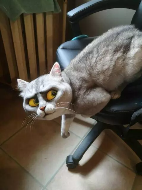 AI Video from prompt: Funny cartoon, gray cat hanging from chair like 