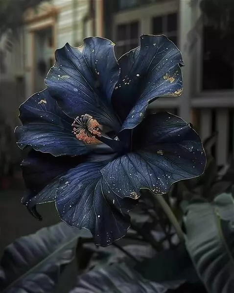 Wan 2.5 Preview video