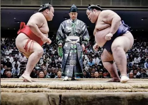 AI Video from prompt: Two sumo wrestlers walk towards each other and w