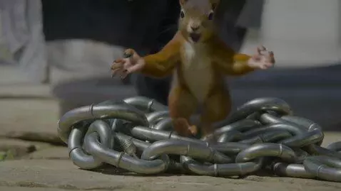 AI Video from prompt: Titre : TON MOT DE PASSE EST-IL AUSSI FAIBLE ? 😰