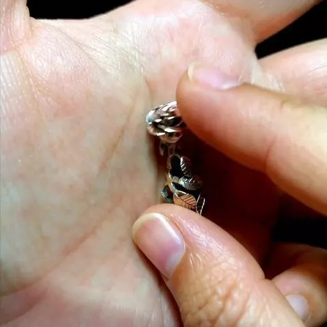 AI Video from prompt: make it smooth