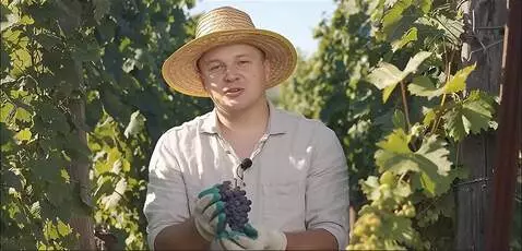 AI Video from prompt: говорит (и в заключении я повторяюсь обработку в