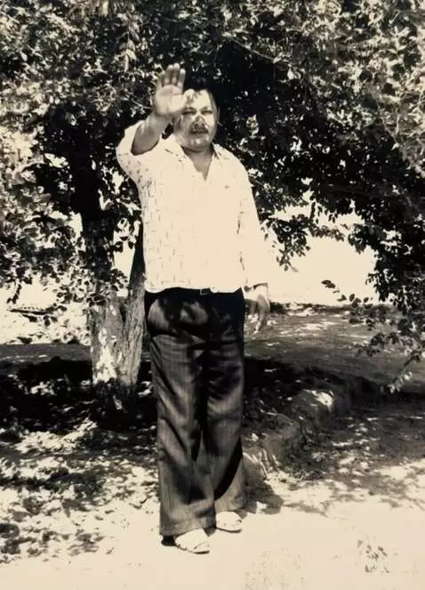 AI Video from prompt: He looks at the camera and waves his hand, the w