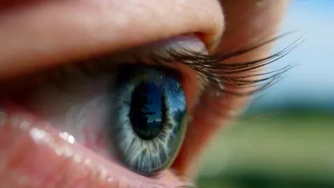 AI Video from prompt: Create an image where the viewer is looking into