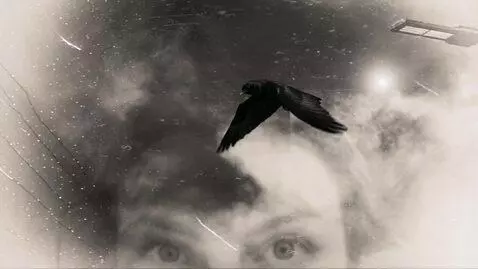AI Video from prompt: Create a video from this. Raven flying eyes are 