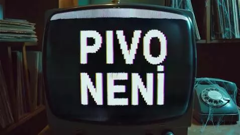 AI Video from prompt: Interference from an old TV signal with the insc