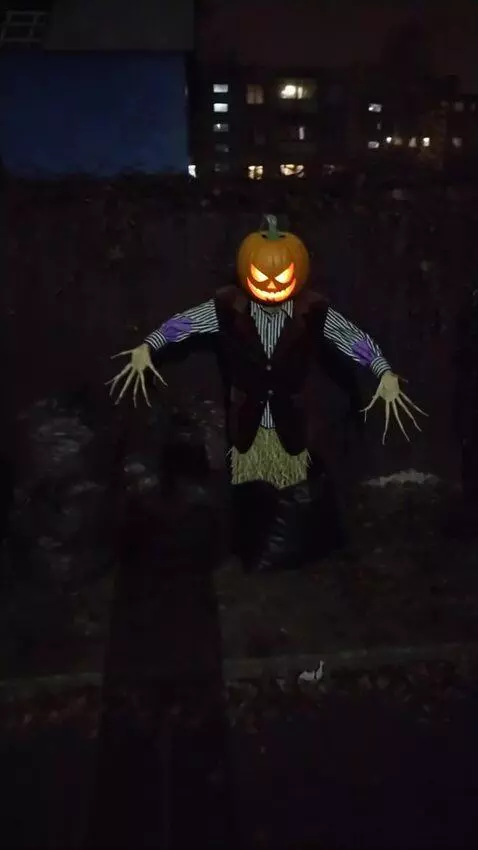 AI Video from prompt: Зловещий пугало с головой-тыквой, вырезанной в ф