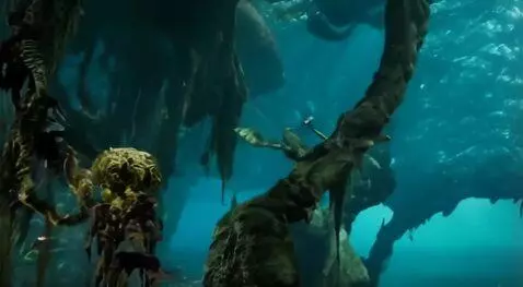 AI Video from prompt: Crea un video cinematográfico inmersivo inspirad