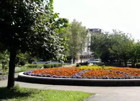 Kling 1.0 (standard) video