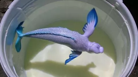 Kling 1.6 (pro) video