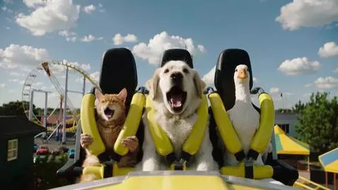 AI Video from prompt: A cat, a dog, and a goose are riding a roller co