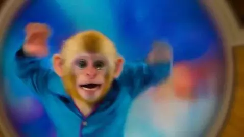 AI Video from prompt: Cinematic fisheye lens shot, through a door peep