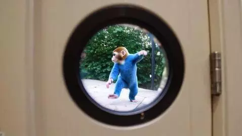 AI Video from prompt: Cinematic fisheye lens shot, through a door peep