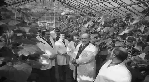 AI Video from prompt: people communicate and look at plants