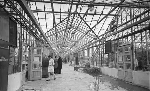 AI Video from prompt: People are walking, the camera is slowly moving 