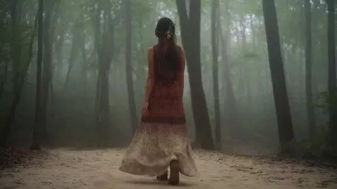 AI Video from prompt: Воздух - смрад нечистой гнили, Густой туман осел