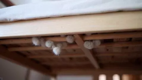 AI Video from prompt: Dust under bed becoming wild dust bunnies