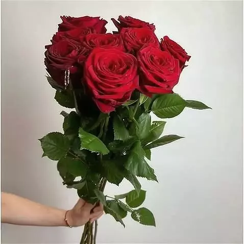 Wan 2.5 Preview video