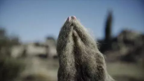 AI Video from prompt: Create  a video in this script for  youtube chan