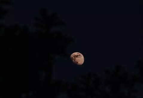 AI Video from prompt: Loop cinematic clip, high quality, night, moon.