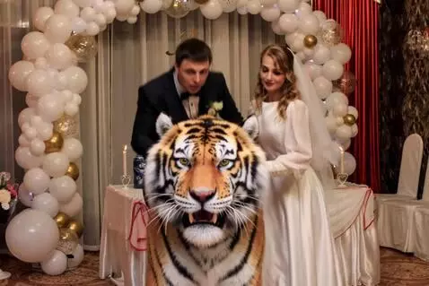 AI Video from prompt: The elderly woman on the left turns into a tiger