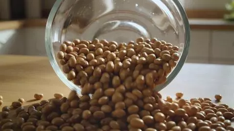 AI Video from prompt: Spill the beans: A container of dried beans tipp