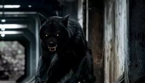 AI Video from prompt: Black werewolf speaks a phrase and then attacks 