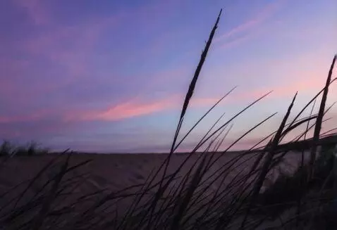 AI Video from prompt: Loop cinematic clip, high quality