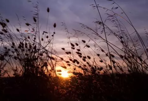 AI Video from prompt: Loop cinematic clip, high quality