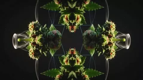 Kling 2.5 Turbo (pro) video