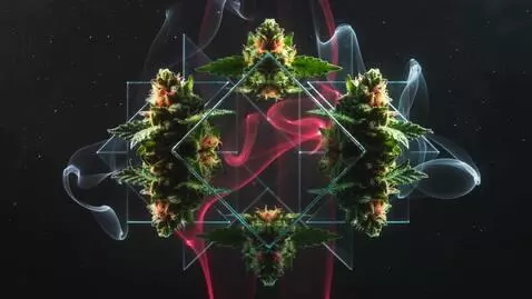 AI Video from prompt: MOOD & ART DIRECTION: Psychedelic tribute with k