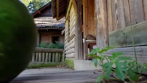 AI Video from prompt: A watermelon rolls through the village and ends 