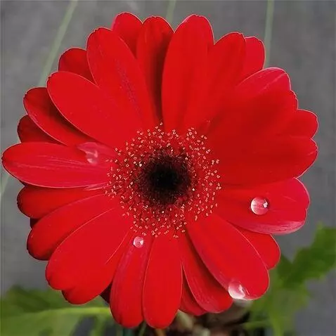 Wan 2.5 Preview video