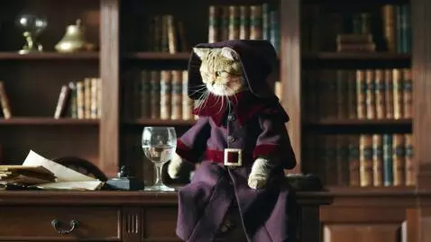 AI Video from prompt: любопытный  кот в мантии профессора  сидя на шка