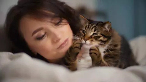 AI Video from prompt: создай видие в котором, котята на фоне торта  по