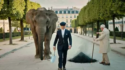 AI Video from prompt: Cinematic style,Wes Anderson aesthetic. A handso