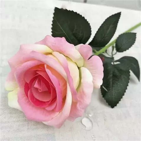 Wan 2.5 Preview video