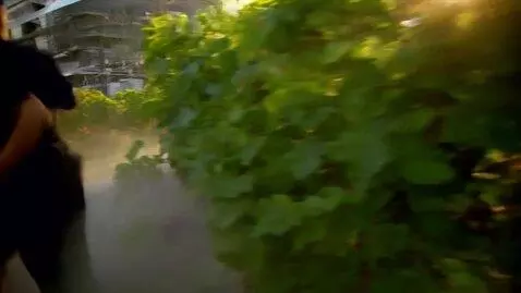 AI Video from prompt: Create a 30-second hyper-cinematic wine producti