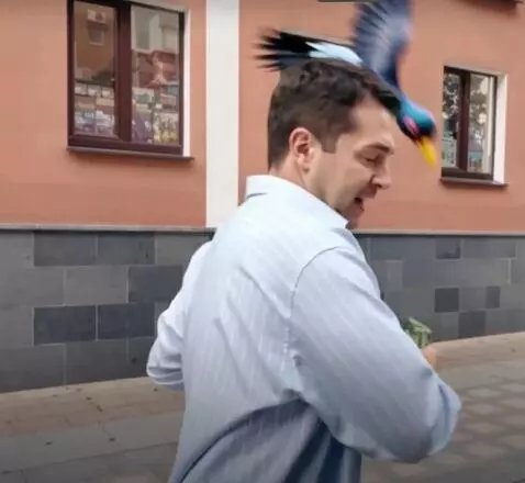 AI Video from prompt: He fights a pigeon in anime style