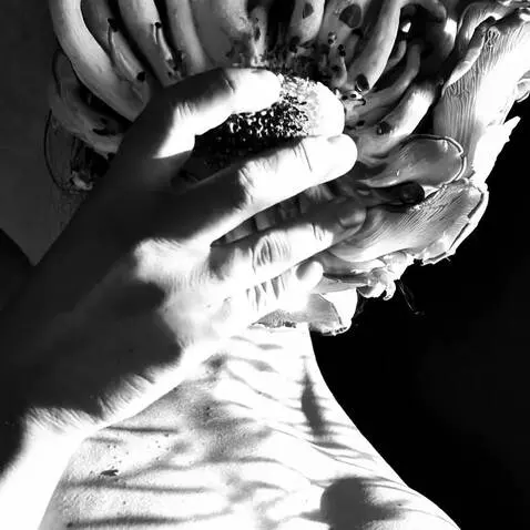 AI Video from prompt: A surreal black-and-white cinematic sequence sho