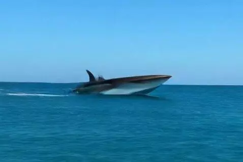 AI Video from prompt: Make à boat that look like a shark