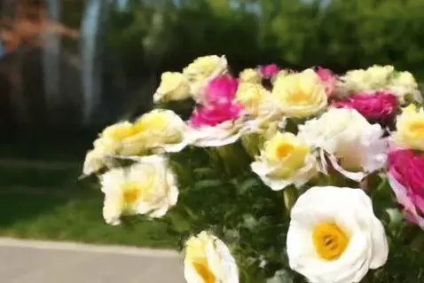 AI Video from prompt: À Flowers grwowing
