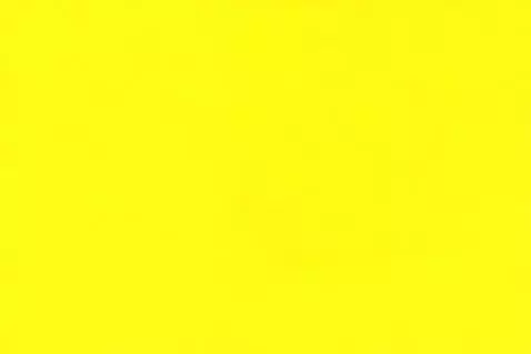 AI Video from prompt: CAN you make a sunflower the most beautiful real