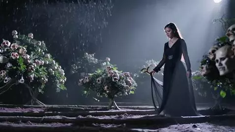 AI Video from prompt: A mysterious woman in a long flowing black dress