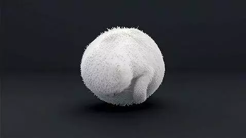 AI Video from prompt: Суперреалистичное  кинематографическое видео 9 н