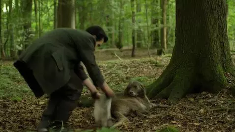 AI Video from prompt: Персонаж из роблоксе ходит по лесу и находит оле