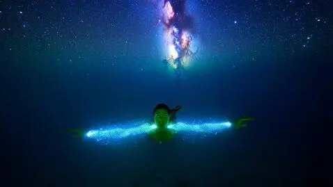 AI Video from prompt: Ultra realistic. Visually stunning. Pitch-black 